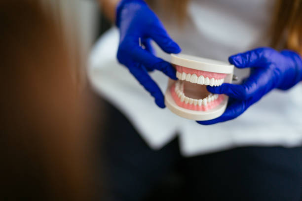 Why Choose Us for Your Dental Needs in Lake Park, GA